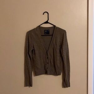 American eagle sweater button up cropped